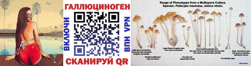 Псилоцибиновые грибы прущие грибы Купить где Закаменск